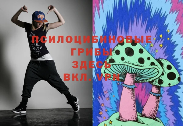 ПСИЛОЦИБИНОВЫЕ ГРИБЫ Мегион
