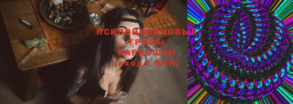 гашик Медногорск