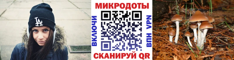 MEGA зеркало  Таштагол  Псилоцибиновые грибы Psilocybe 