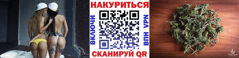Конопля сатива  Таштагол 